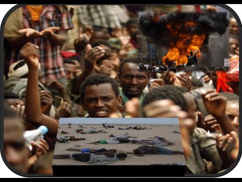 2 Ethiopians Killed 11 wounded in Senna Yemen